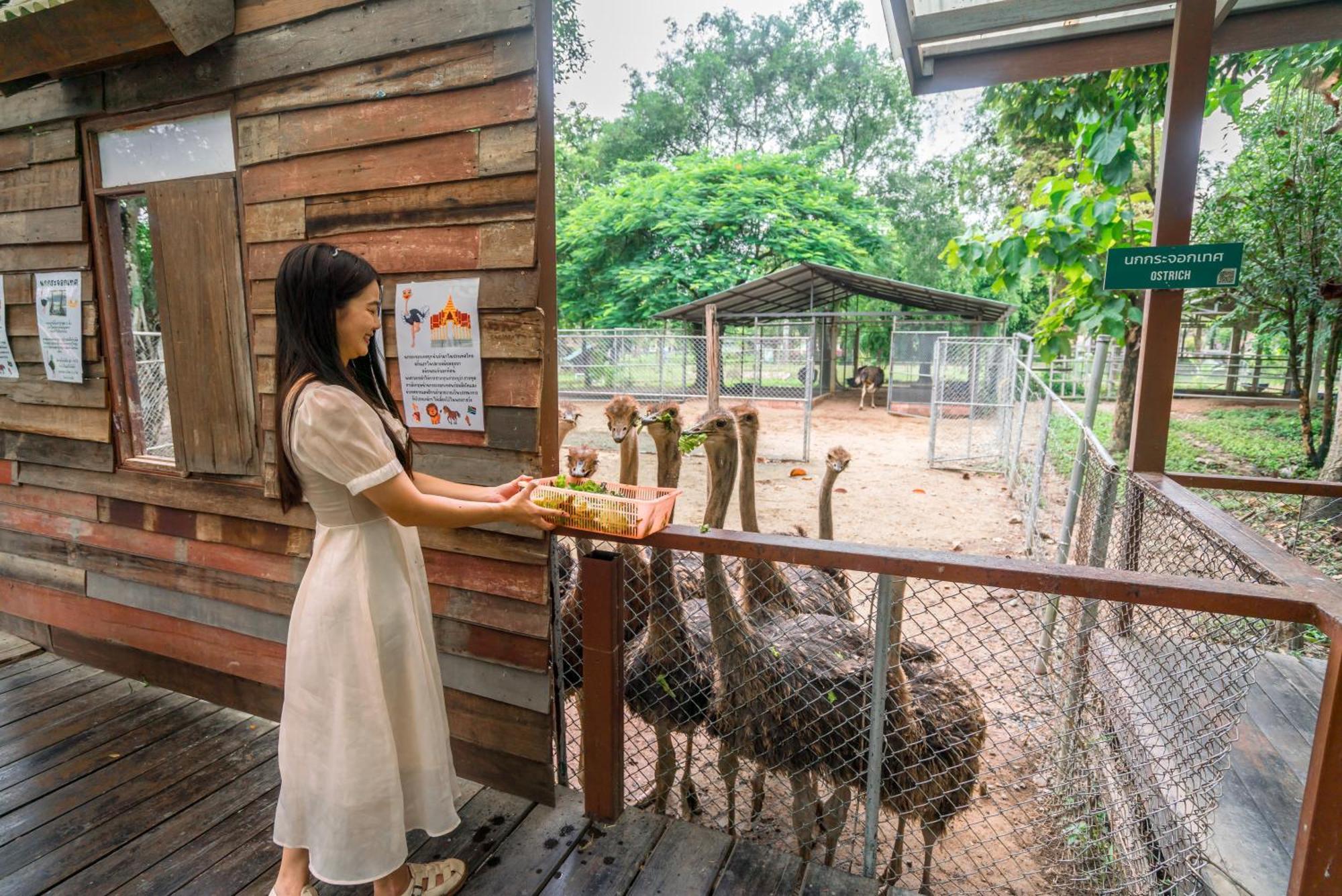 ホライゾン ヴィレッジ&リゾート【SHA Extra+認定】 Doi Saket エクステリア 写真
